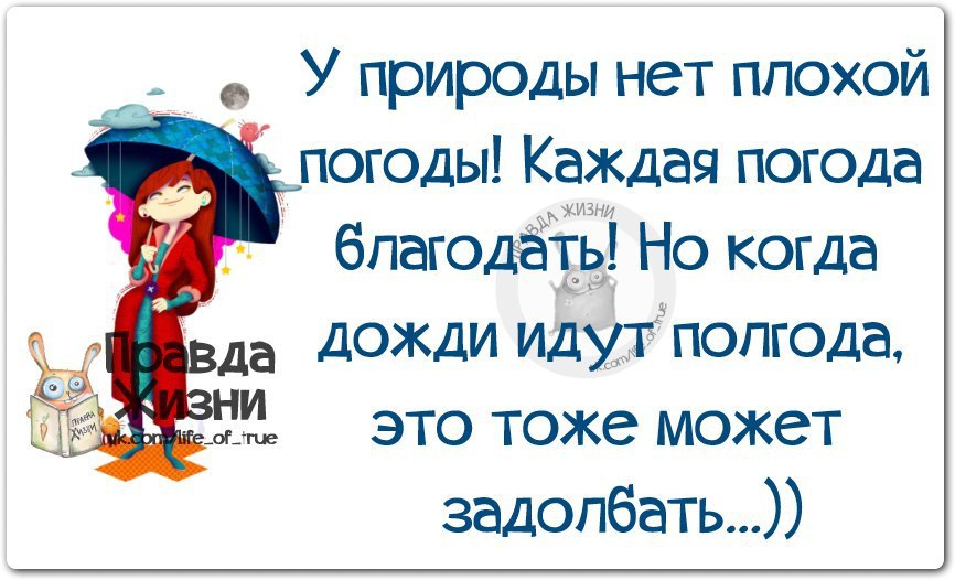 Картинки про дождь прикольные с надписями смешные до слез