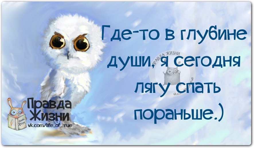 Быстро спать картинки прикольные смешные с надписью