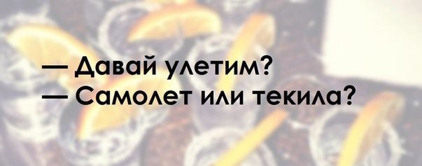 Улетим самолет или коньяк картинки