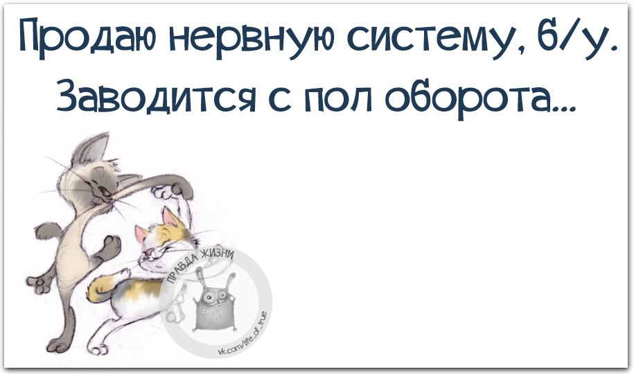 Картинки про нервы прикольные с надписями