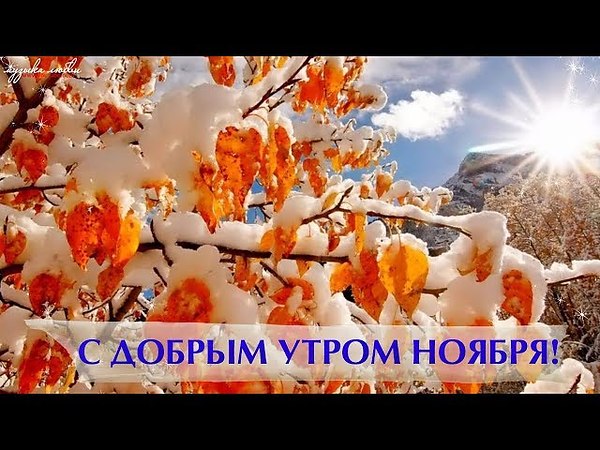 Ноябрьское Доброе Утро Видео Поздравление Скачать Бесплатно