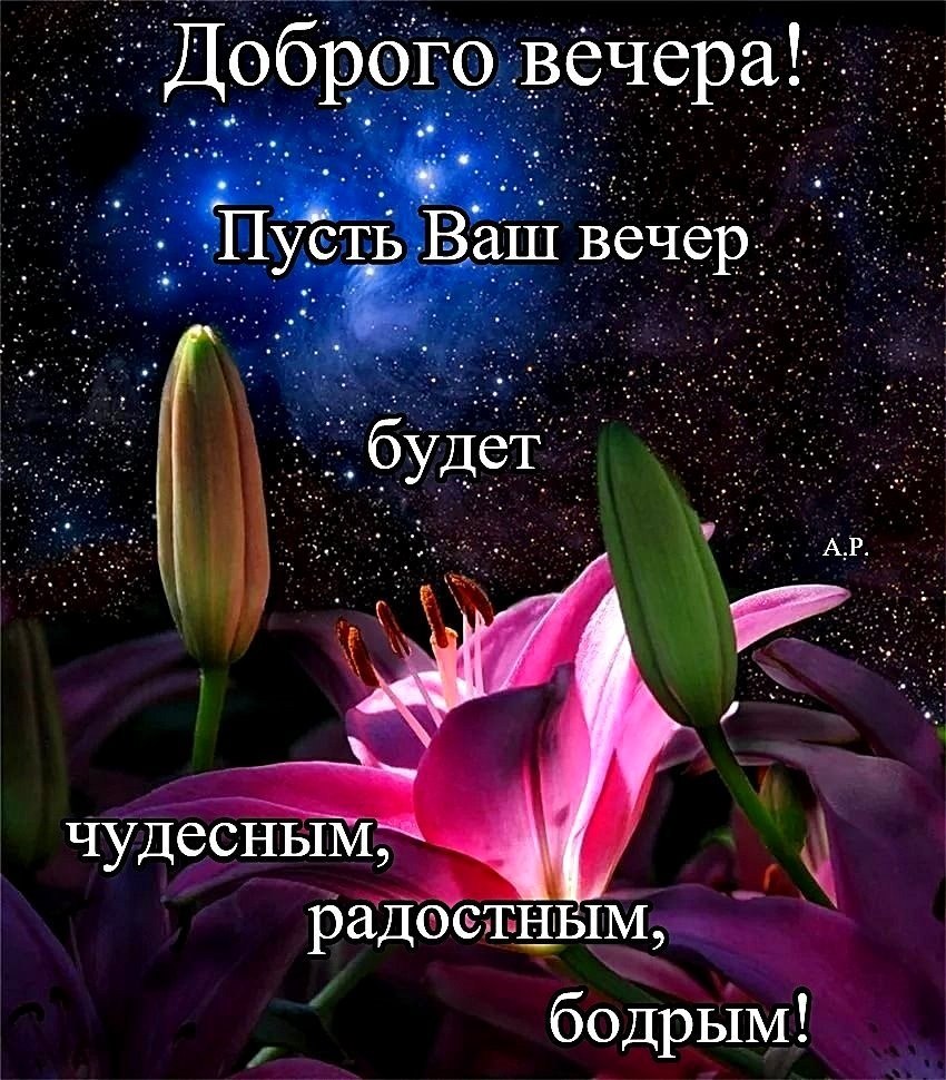 Поздравление С Добрым Вечером И Спокойной Ночи