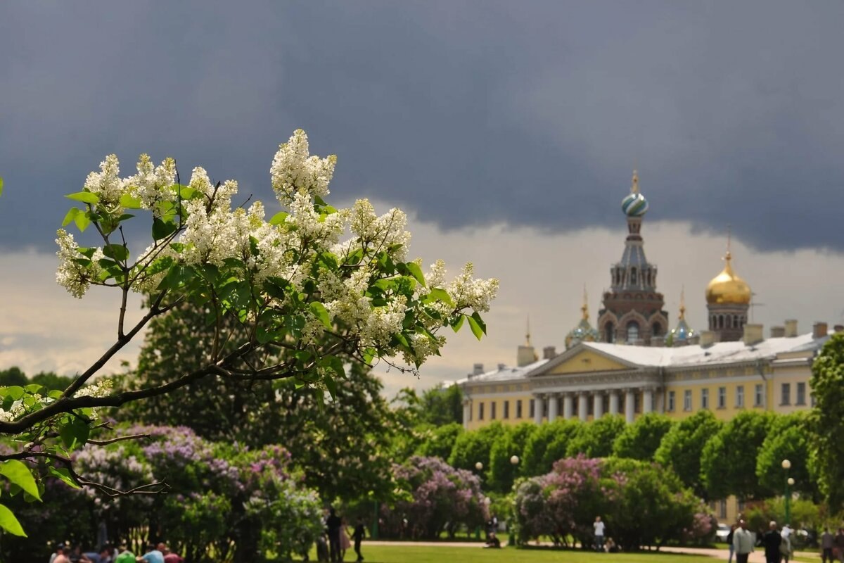 Весенний петербург картинки