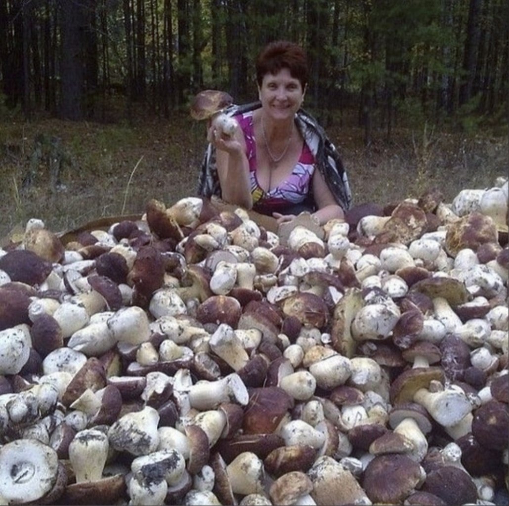 Зрелая пришла за грибами - 16 фото
