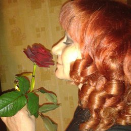 , 54 , 