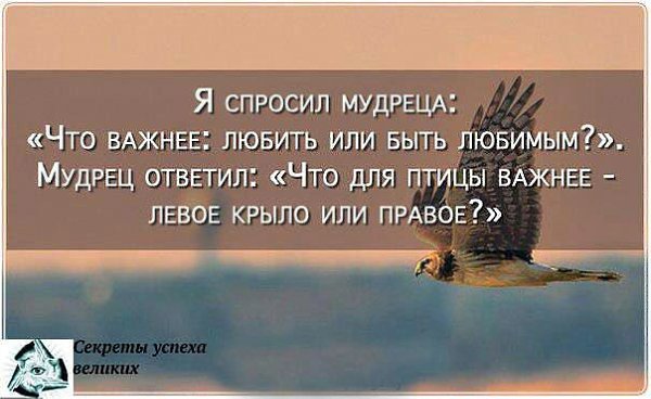 Что важнее любить или быть. Мудрые высказывания о птицах. Мудрые мысли о птицах. Мудрые фразы про птиц. Высказывания о птицах великих людей.