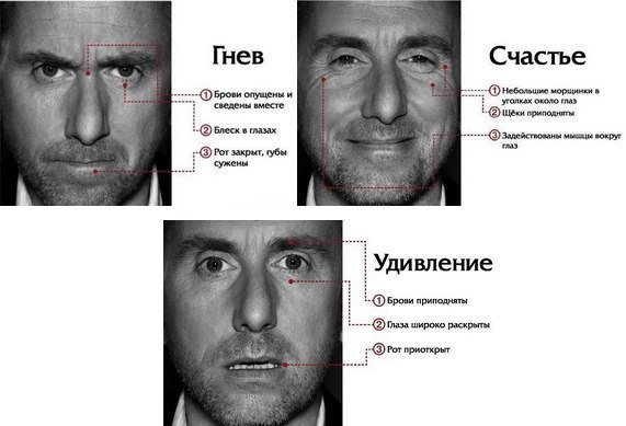 Теория лжи проект