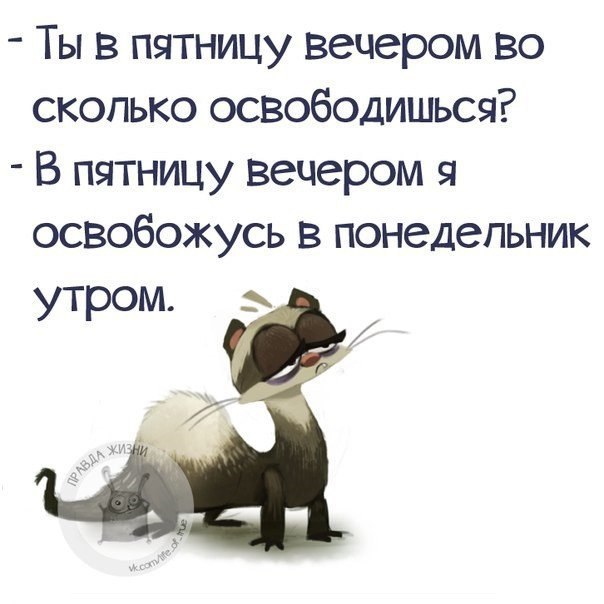 Открытка пятницу вечером, картинки брюнеток без
