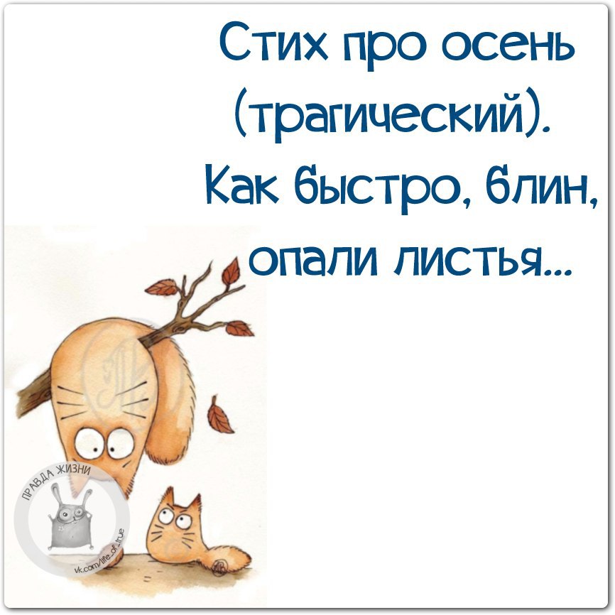 Смешные четверостишья. Цитаты про осень смешные. Осенние афоризмы Веселые. Смешные фразы про осень. Прикольные стишки.