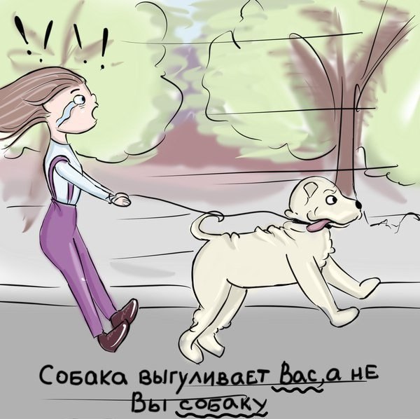 Картинка прикол про рост, девушке