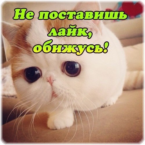 Картинки устали, прикольная картинка ставьте лайк