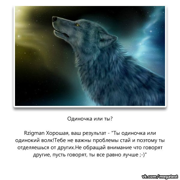 Картинка волк с надписью я не одинок я одиночка