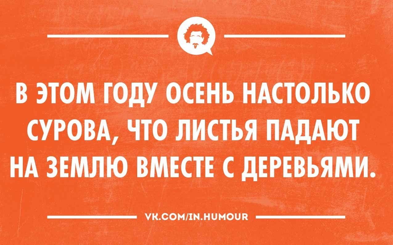 Интеллектуальный юмор в картинках с надписями