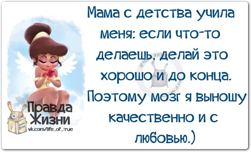 Правда жизни картинки со смыслом
