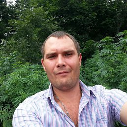 Владимир, 32 года, Данков
