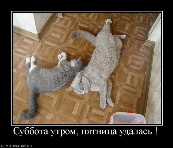 Прикольные картинки про субботу после пятницы на субботу, марта картинками