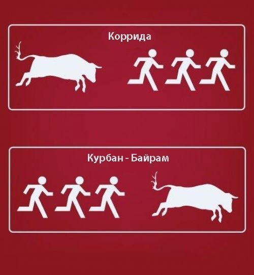 Смешные картинки курбан байрам