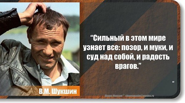 А как же позориться на весь мир картинка