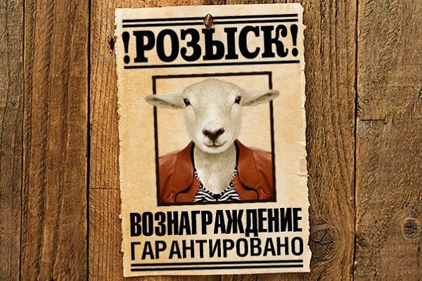 Картинки про, внимание розыск приколы картинки