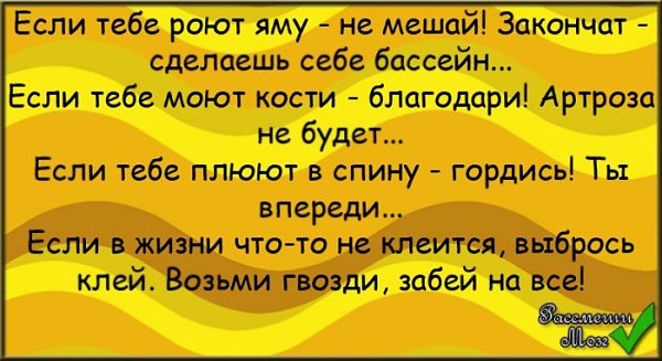 Если тебе роют яму не мешай закончат сделаешь себе бассейн картинки