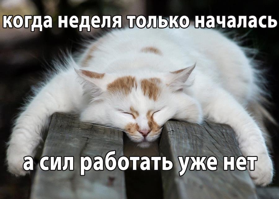 нет больше сил картинки прикольные смены