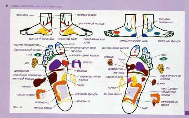 Обоих стоп. Карта рефлекторных зон стопы. Точки хиджамы на стопах. Атлас рефлекторных зон стопы.