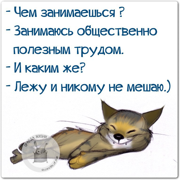 Движение это жизнь а лежание это хорошая жизнь картинки прикольные
