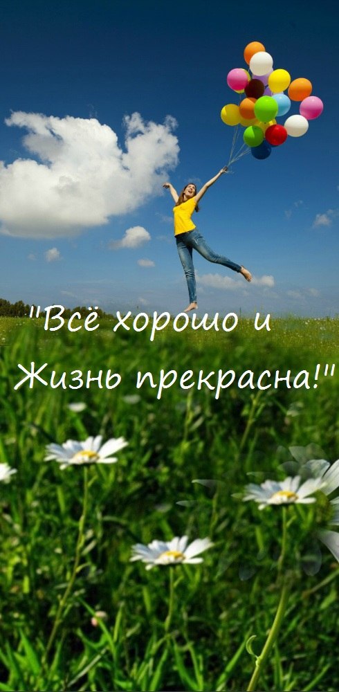 Жизнь прекрасна дзене. Жизнь прекрасна. Жизнь прекрасна картинки. Жизнь прекрасна о жизни. Плакат жизнь прекрасна и удивительна.