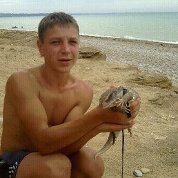 Дмитрий, 29 лет, Стаханов