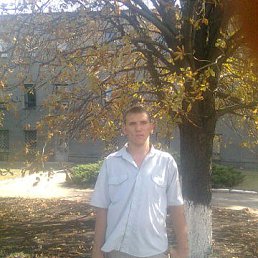 , 29 , 