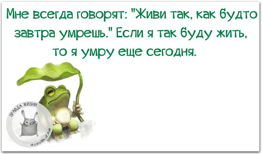 Живи так будто завтра. Правда жизни юмор мотивация сарказм. Правда жизни юмор мотивация сарказм утро.