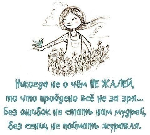 Жалеть себя не обязательно а вот беречь необходимо картинка с надписью