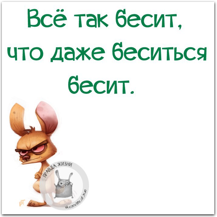 Правда жизни картинки с надписями прикольные для ватсапа
