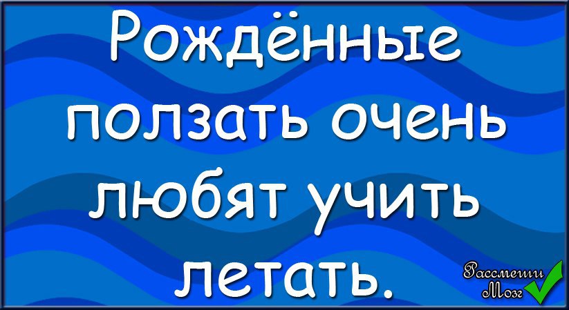 Фраза рожденный ползать летать не может принадлежит. Рождённый ползать летать. Рожденные ползать летать не могут. Рожденный ползать летать не может Автор. Рожденные ползать очень любят учить летать.