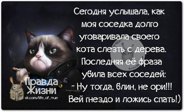 Правда жизни картинки прикольные о жизни