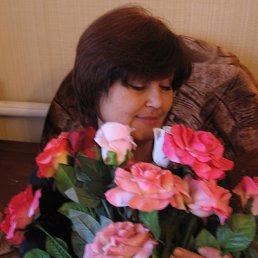 , 63 , 