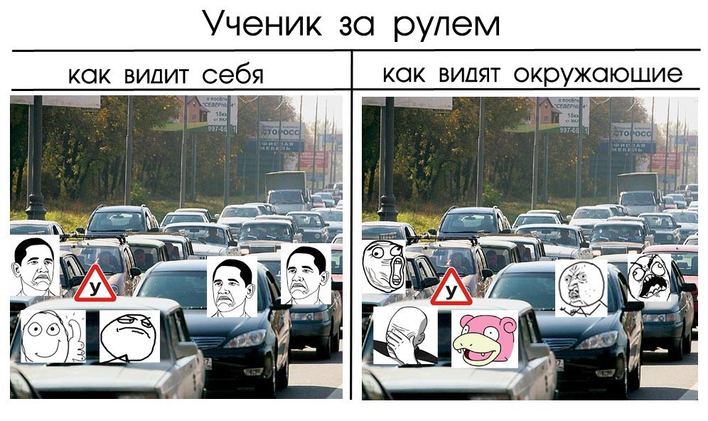 Прикольные картинки про учеников автошколы