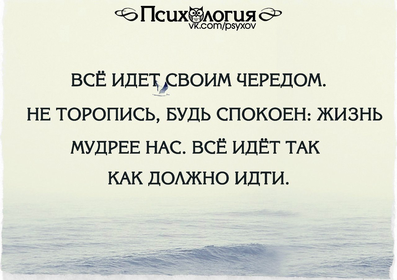 Всегда говори что все идет по плану