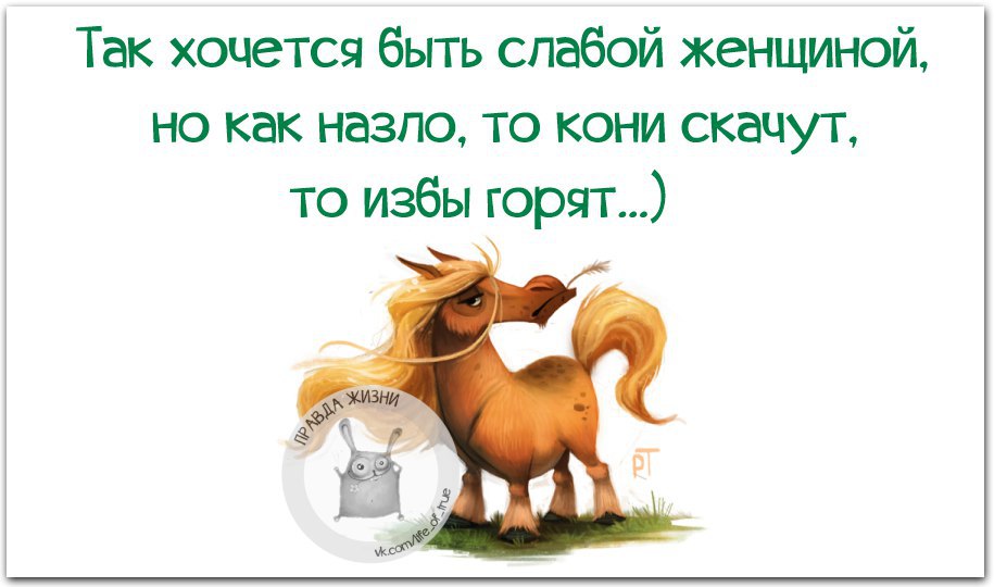 Не всегда срабатывает. Кони бегут избы горят. То кони дохнут то избы горят. А избы горят и горят. То избы горят то кони скачут картинки.