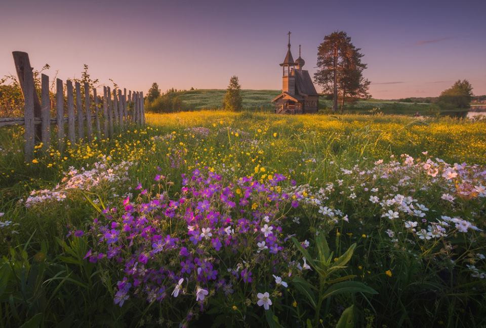 Церковь в поле