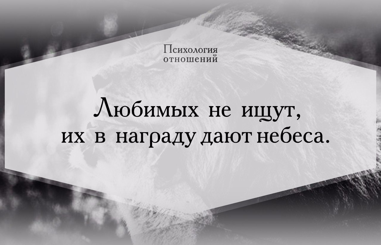 Человек предполагает а бог располагает картинки