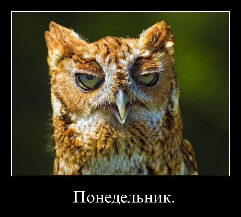 Картинки ура понедельник прошел, открытка для юлии