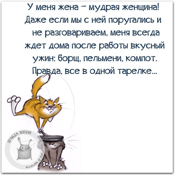 Гифка, прикольные картинки правда жизни