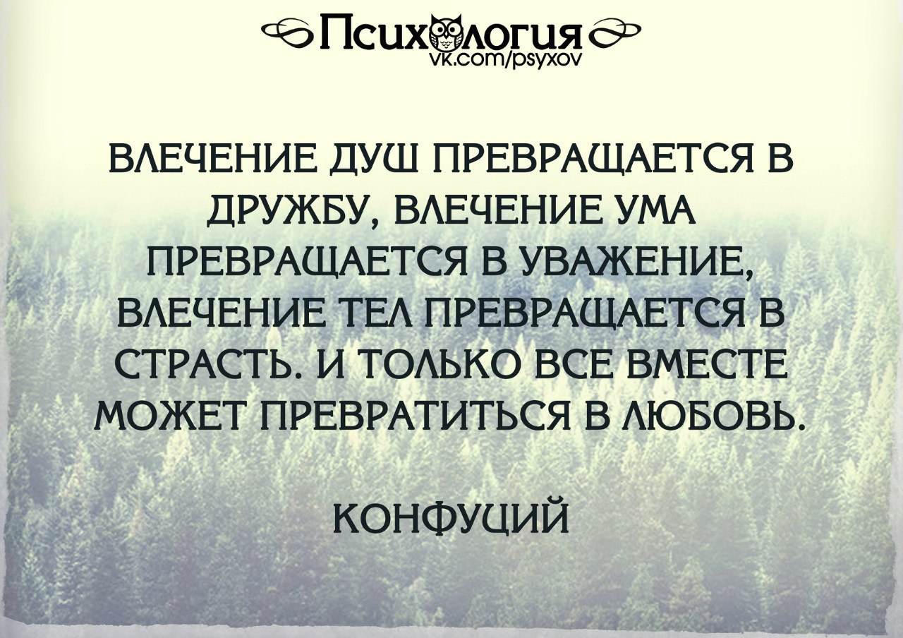 Влечение душ превращается в дружбу влечение ума