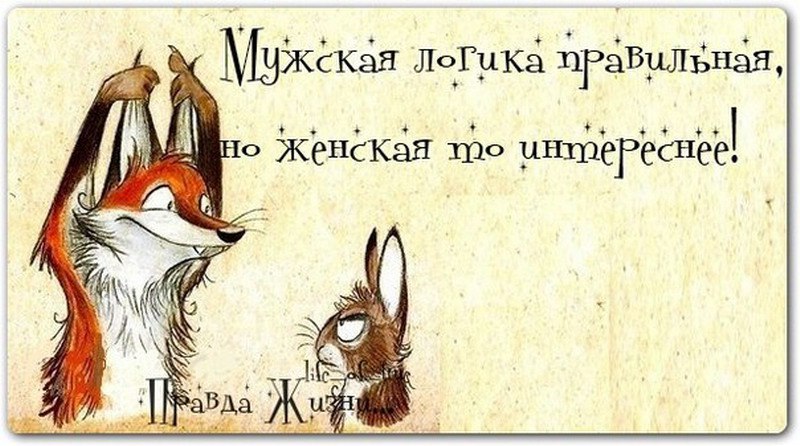 Прикольные картинки с высказыванием про жизнь, спящий