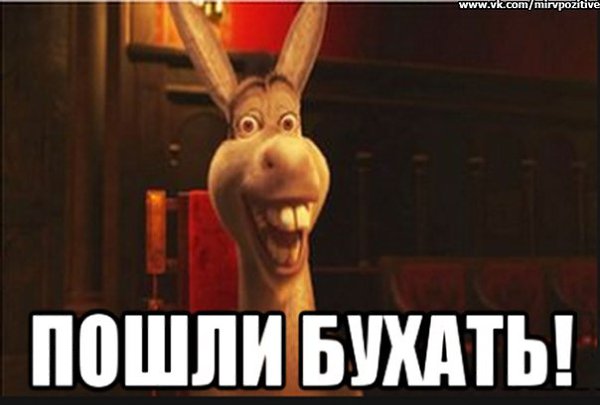 Картинки смешные бухать будешь