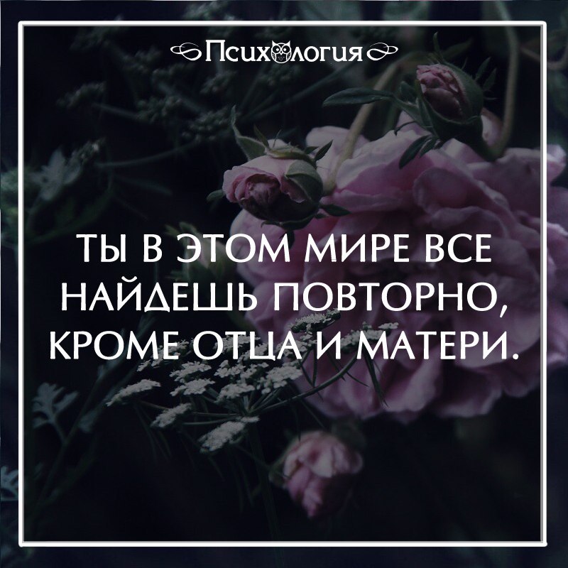 Ты в этом мире все найдешь повторно кроме отца и матери картинки