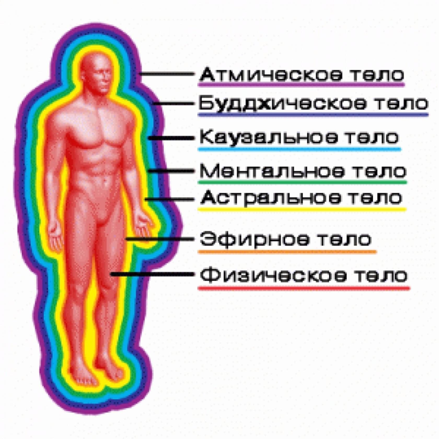 Ментальное астральное и эфирное тело человека