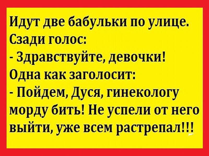современные анекдоты. здравствуйте девочки. высказывания про девочек. здравствуйте девочки здравствуйте девочки. здравствуйте девочки.