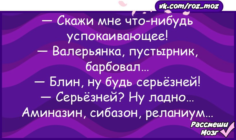 Я сказал успокойся и рот текст. Анекдоты для 8 лет.